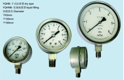 布莱迪全不锈钢压力表